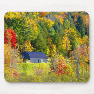 USA, Vermont. Höstfärger längs Highway 100. Musmatta