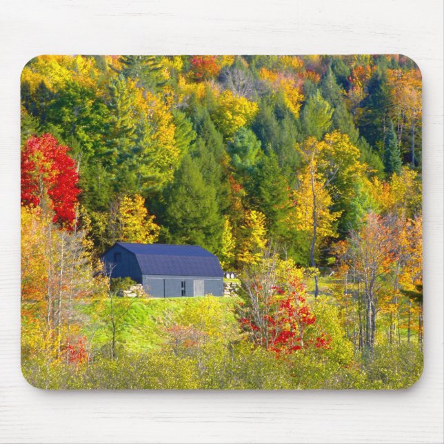 USA, Vermont. Höstfärger längs Highway 100. Musmatta (Framsidan)