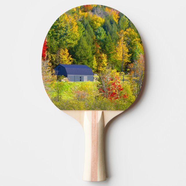 USA, Vermont. Höstfärger längs Highway 100. Pingisracket (Framsidan)