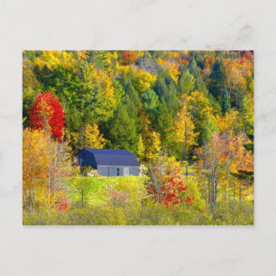 USA, Vermont. Höstfärger längs Highway 100. Vykort