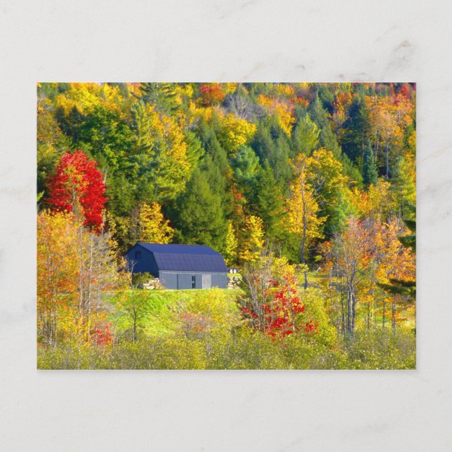 USA, Vermont. Höstfärger längs Highway 100. Vykort (Framsida)