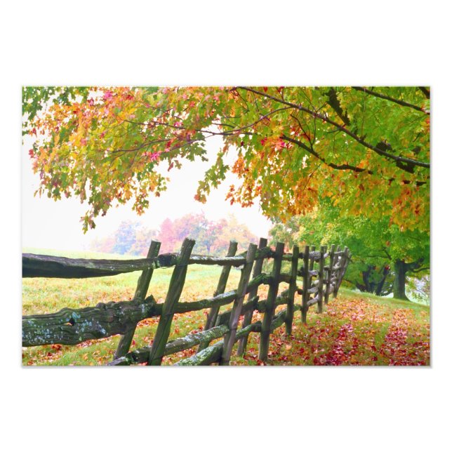 USA, Vermont. Inneslutning under fallande löv. Fototryck (Framsidan)