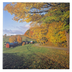USA, Vermont, Jenne Farm. Hösten kommer till Jenne Kakelplatta