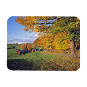 USA, Vermont, Jenne Farm. Hösten kommer till Jenne Magnet