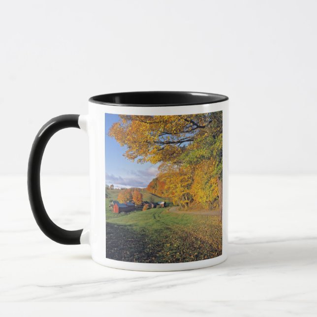 USA, Vermont, Jenne Farm. Hösten kommer till Jenne Mugg (Vänster)
