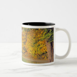 USA, Vermont, Jenne Farm. Hösten kommer till Jenne Två-Tonad Mugg