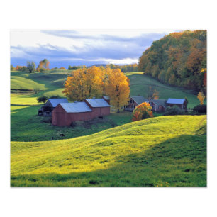 USA, Vermont, Jenne Farm. Rullande gröna kullar Fototryck