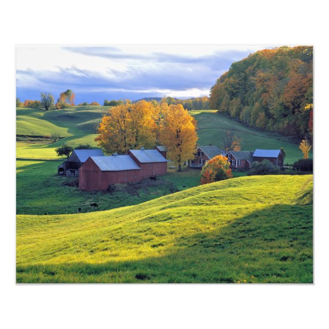 USA, Vermont, Jenne Farm. Rullande gröna kullar Fototryck (Framsidan)