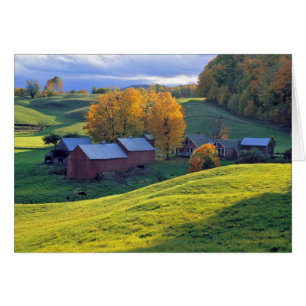 USA, Vermont, Jenne Farm. Rullande gröna kullar Hälsningskort
