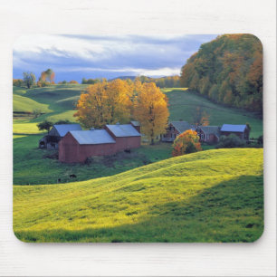 USA, Vermont, Jenne Farm. Rullande gröna kullar Musmatta