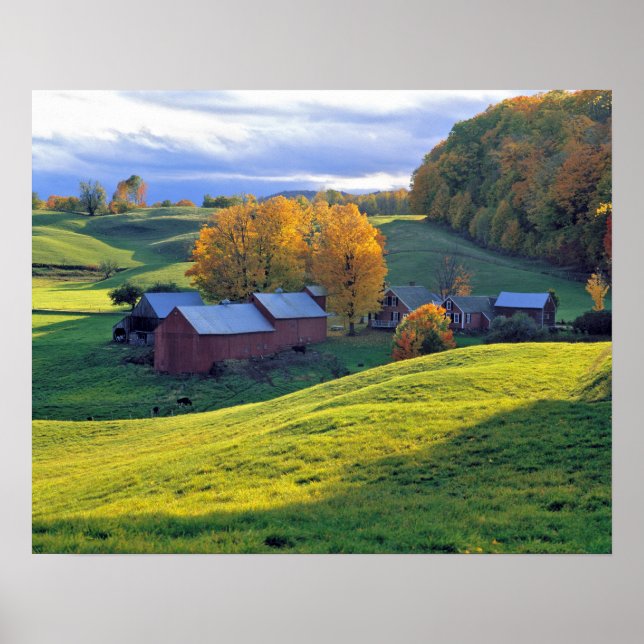 USA, Vermont, Jenne Farm. Rullande gröna kullar Poster (Framsidan)