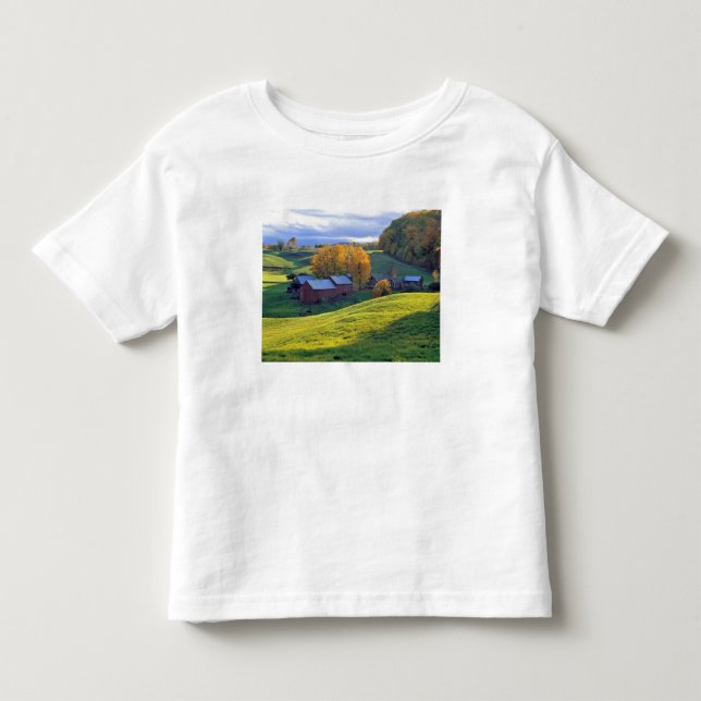 USA, Vermont, Jenne Farm. Rullande gröna kullar Tee (Framsida)