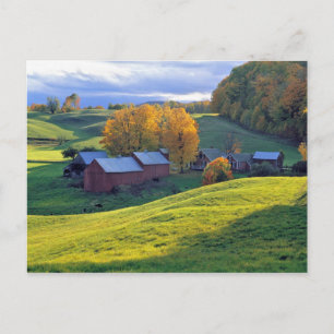 USA, Vermont, Jenne Farm. Rullande gröna kullar Vykort
