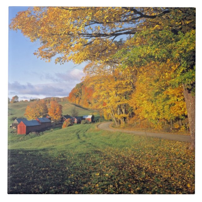 USA Vermont, Jenne lantgård. Nedgången kommer till Kakelplatta (Framsidan)