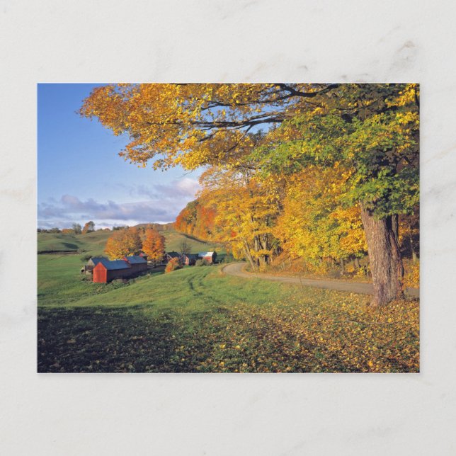 USA Vermont, Jenne lantgård. Nedgången kommer till Vykort (Framsida)