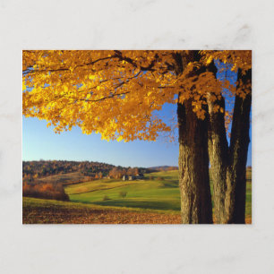 USA, Vermont. lantlig idyll nära South Woodstock Vykort