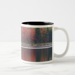 USA, Vermont, McAllister Lake, nära Hazens Notch Två-Tonad Mugg