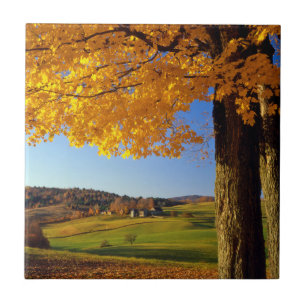 USA, Vermont. Naturskön gård nära South Woodstock Kakelplatta