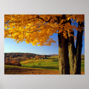 USA, Vermont. Naturskön gård nära South Woodstock Poster