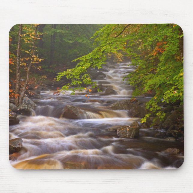 USA, Vermont, Öster Arlington, Flowing streams Musmatta (Framsidan)