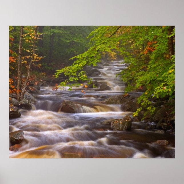 USA, Vermont, Öster Arlington, Flowing streams Poster (Framsidan)