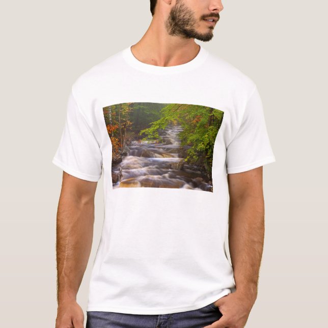 USA, Vermont, Öster Arlington, Flowing streams Tee (Framsida)