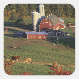 USA Vermont, Pomfret. Röd ladugård och nedgång Fyrkantigt Klistermärke