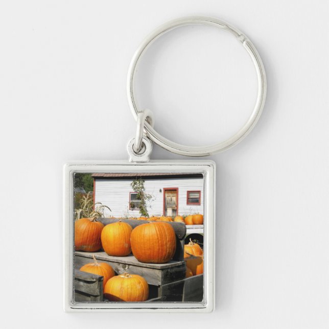USA, Vermont. Pumpa Fyrkantig Silverfärgad Nyckelring (Framsidan)