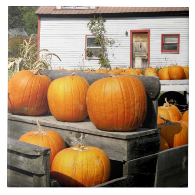 USA, Vermont. Pumpa Kakelplatta (Framsidan)
