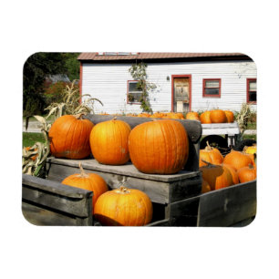USA, Vermont. Pumpa Magnet