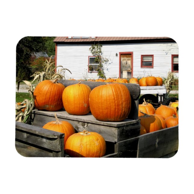 USA, Vermont. Pumpa Magnet (Horisontell)