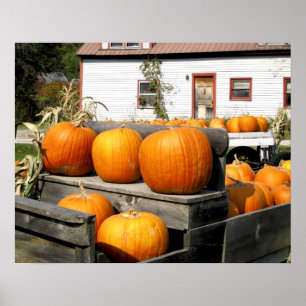 USA, Vermont. Pumpa Poster