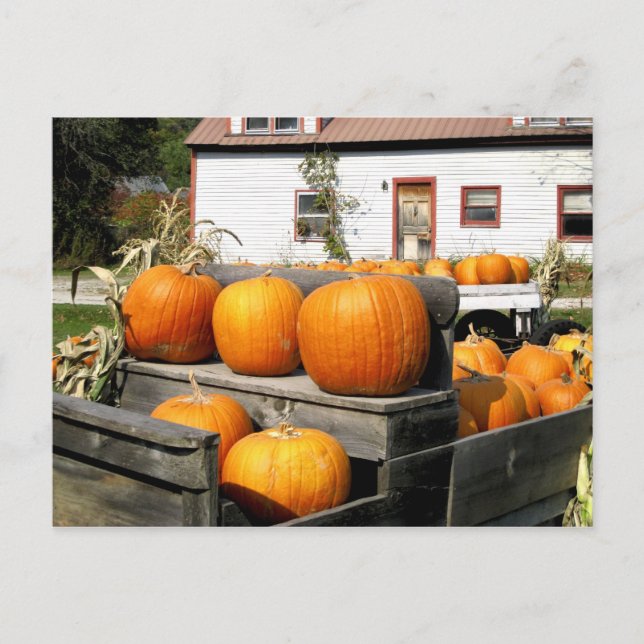 USA, Vermont. Pumpa Vykort (Framsida)