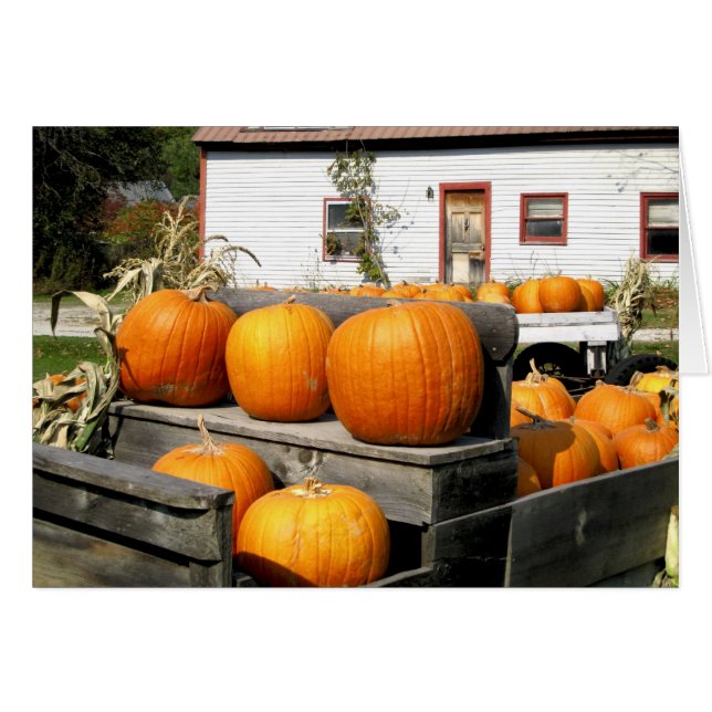 USA, Vermont. Pumpkins Hälsningskort (Framsidan Horizontal)