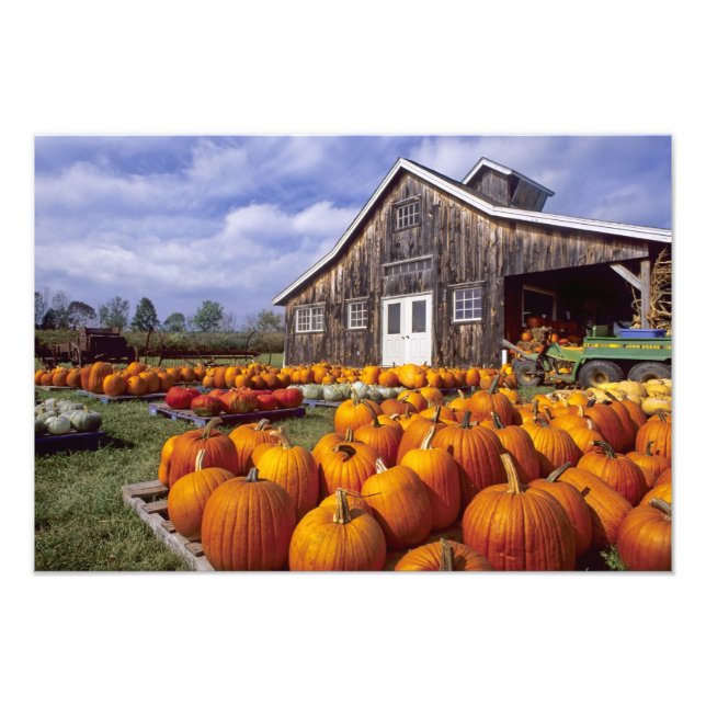 USA, Vermont, Shelbourne, Pumpa Fototryck (Framsidan)