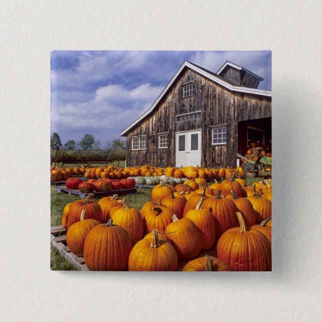 USA, Vermont, Shelbourne, Pumpa Knapp (Framsida)
