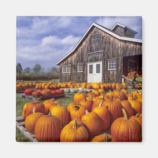 USA, Vermont, Shelbourne, Pumpa Magnet (Framsidan)