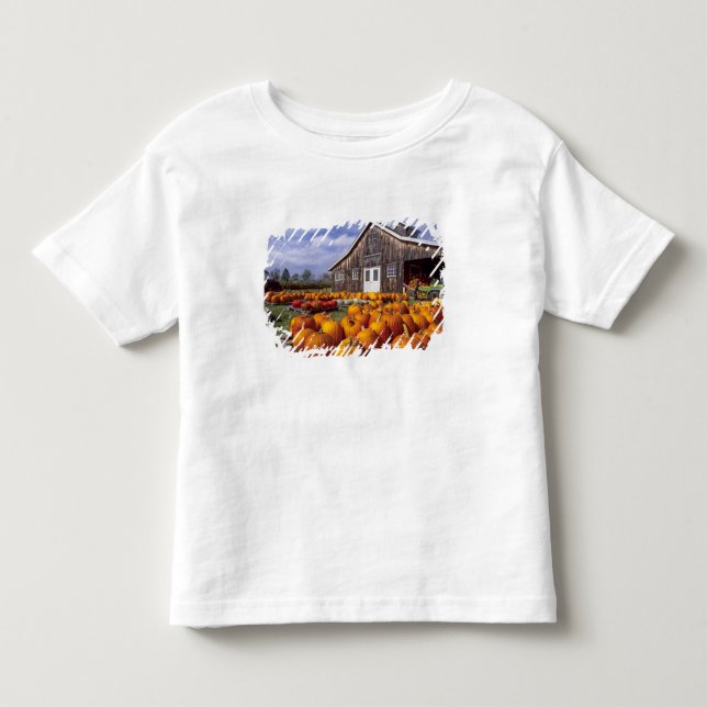 USA, Vermont, Shelbourne, Pumpa T-shirt (Framsida)