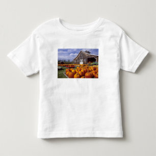 USA, Vermont, Shelbourne, Pumpa T Shirt