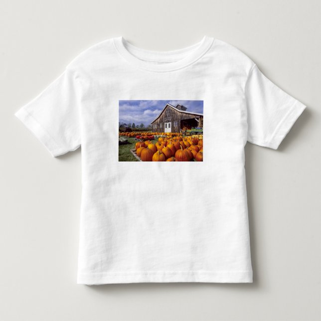 USA, Vermont, Shelbourne, Pumpa T Shirt (Framsida)