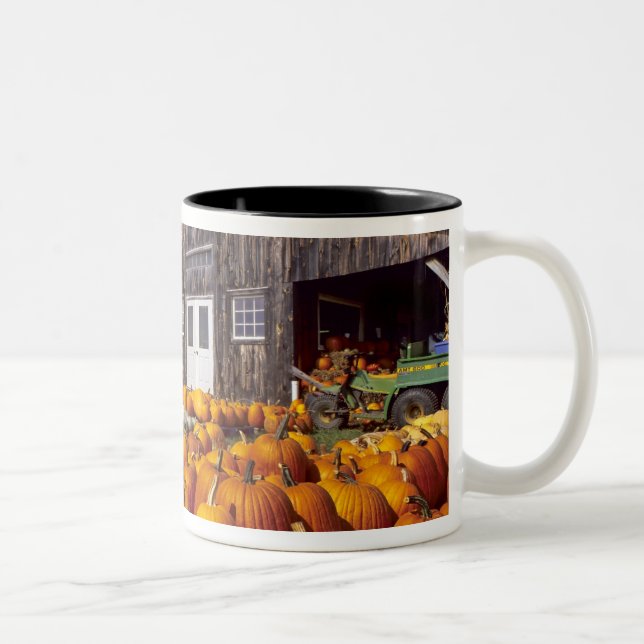 USA, Vermont, Shelbourne, Pumpa Två-Tonad Mugg (Höger)
