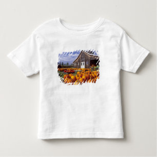 USA Vermont, Shelbourne, pumpor T-shirt