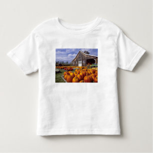 USA Vermont, Shelbourne, pumpor T Shirt