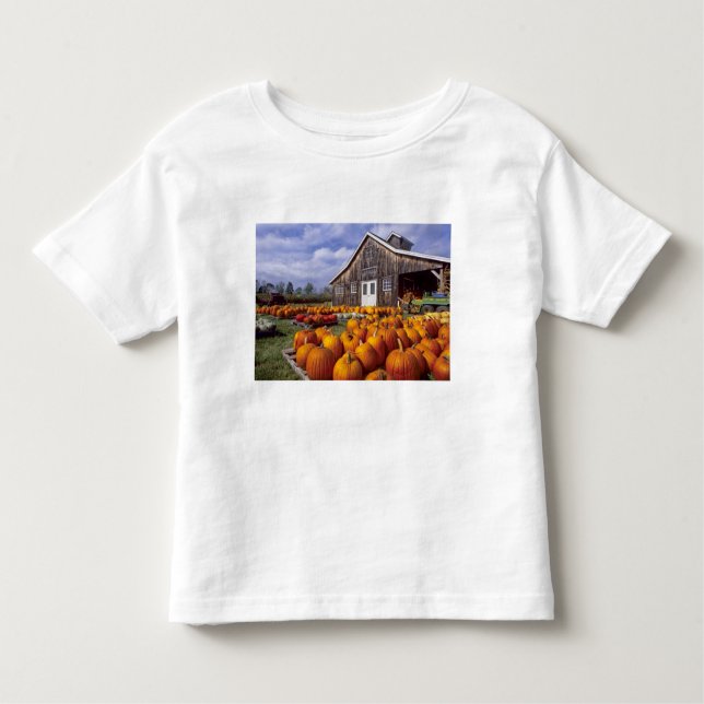 USA Vermont, Shelbourne, pumpor T Shirt (Framsida)