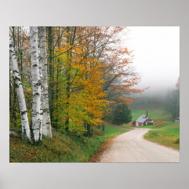 USA, Vermont. Sockerhus nära staden South Poster (Framsidan)