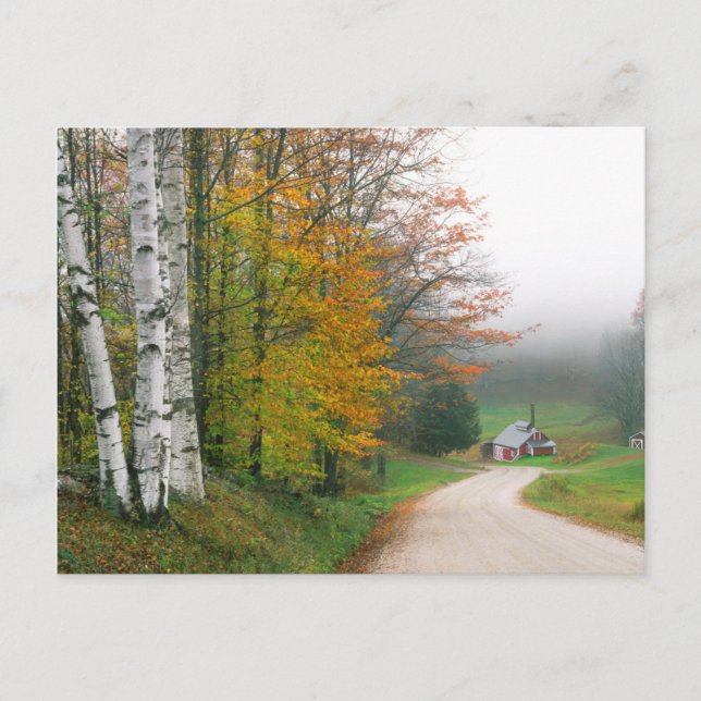 USA, Vermont. Sockerhus Nära Staden South Vykort (Framsida)