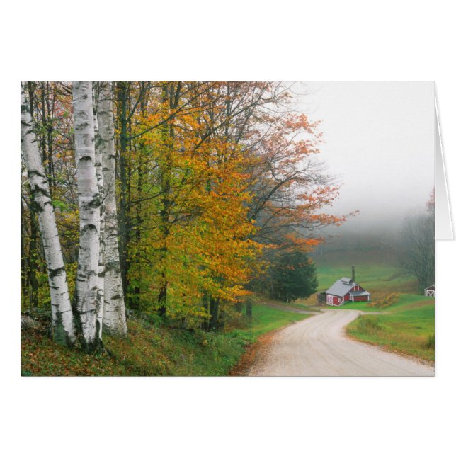 USA, Vermont. Sockerhuset nära sydstaden Hälsningskort (Framsidan Horizontal)