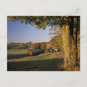 USA, Vermont, södra Woodstock, Jenne Farm vid Vykort
