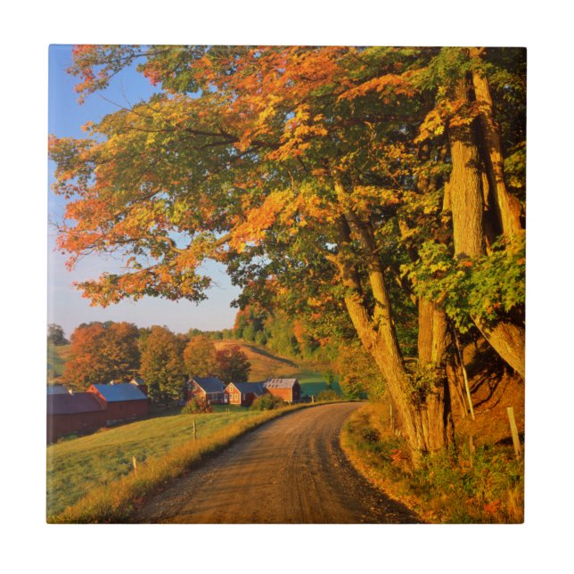 USA, Vermont, South Woodstock Kakelplatta (Framsidan)