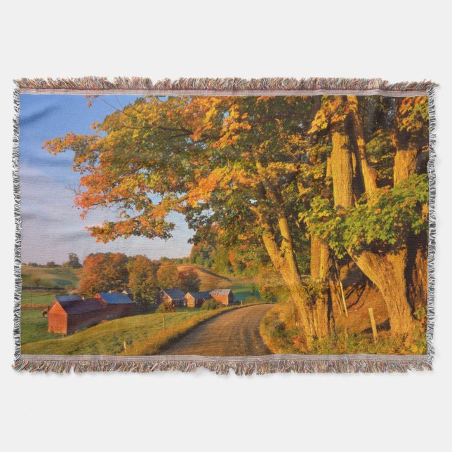 USA, Vermont, South Woodstock Mysfilt (Framsidan)